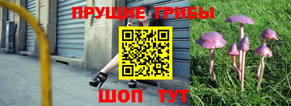 Братск  Псилоцибиновые грибы мицелий  Вход с VPN  Галлюциногенные грибы Magic Shrooms 